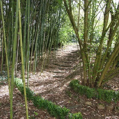 ベッド・アンド・ブレックファスト Chateau De Beaulieu