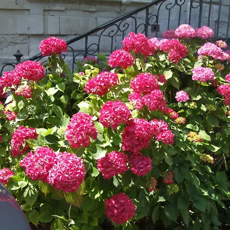 Bed & Breakfast Chateau De Beaulieu Saumur