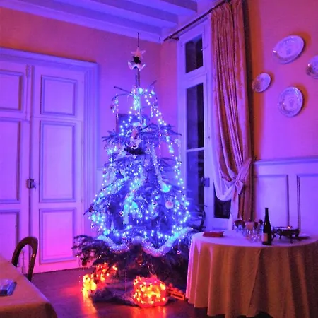 Chateau De Beaulieu 4* ソミュール