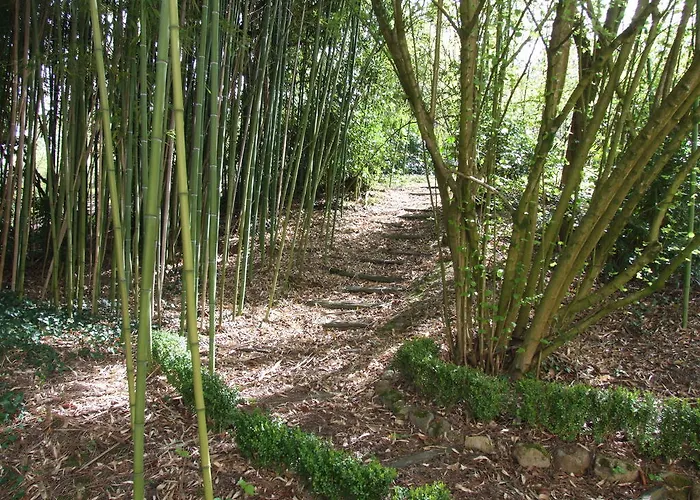 ベッド・アンド・ブレックファスト Chateau De Beaulieu