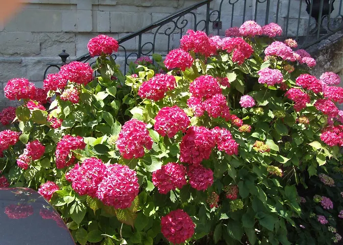 Bed & Breakfast Chateau De Beaulieu Saumur