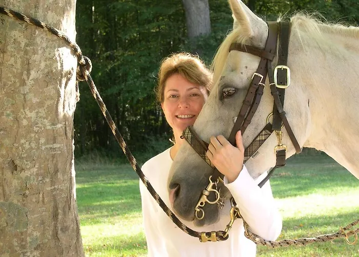 Bed & Breakfast Chateau De Beaulieu