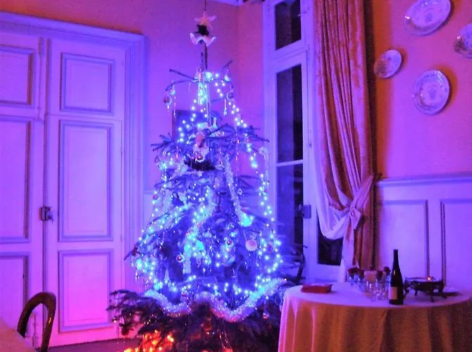 Chateau De Beaulieu 4* Saumur